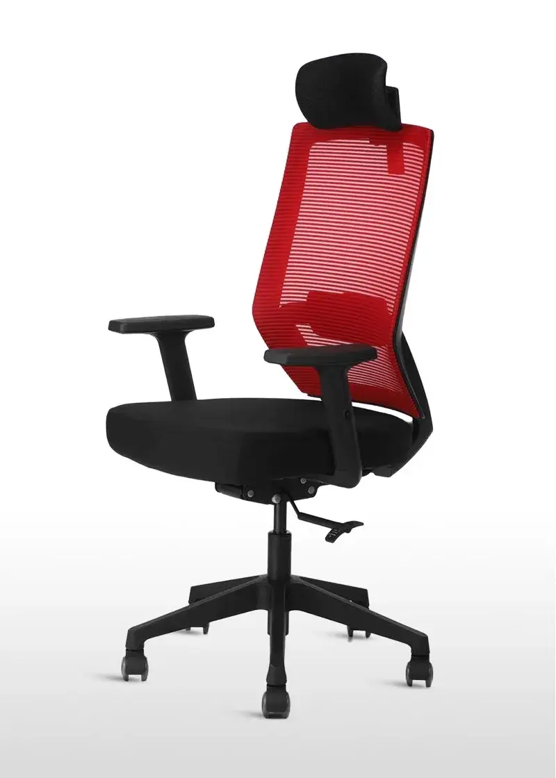 5 Ergonomic Office Chairs for Work From Home